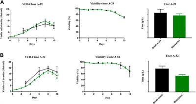 Engineering protein glycosylation in CHO cells to be highly similar to murine host cells